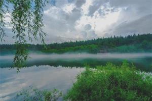 戊戌年代表什么年